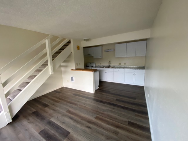 Apartment Unit Remodel - Downstairs